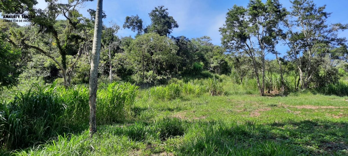 Sítio em , São Roque - Foto 22